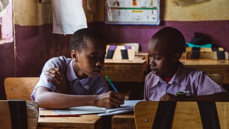 Deux élèves africains travaillant ensemble en classe